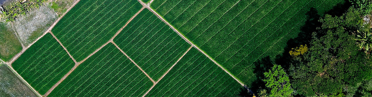 Your International <br />Taste Partner