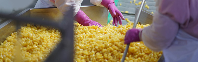 Your International <br />Taste Partner